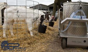 شیرخشک-گوساله / اتوماسیون صنعتی