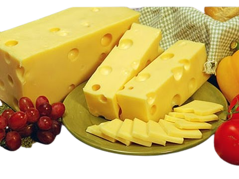 مراحل تولید پنیر