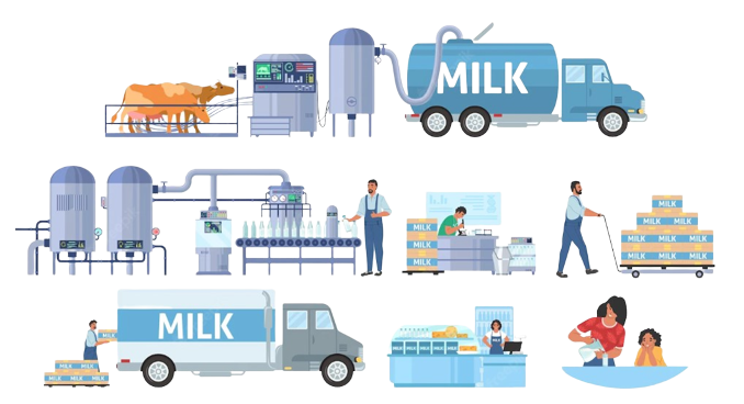 مراحل خط تولید شیر