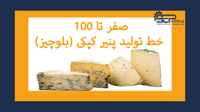 خط تولید پنیر کپکی